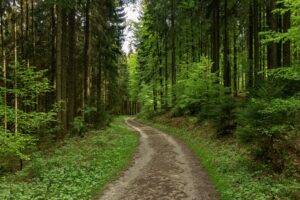 Xavier Naidoo – The Story Behind